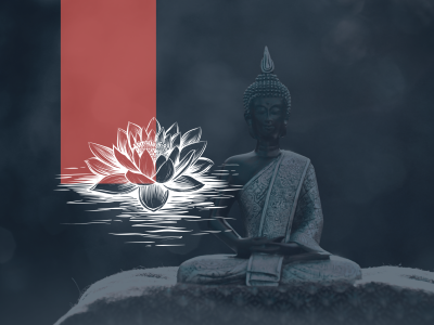 Grafik The White Lotus til FB CMS